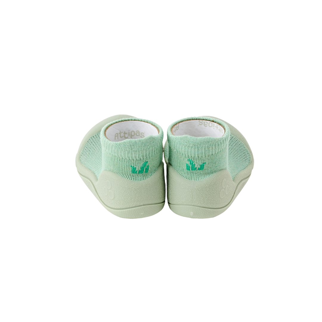 Tortoise Green