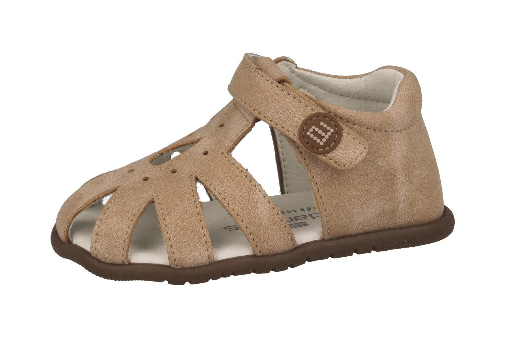 PONTIAC BEIGE