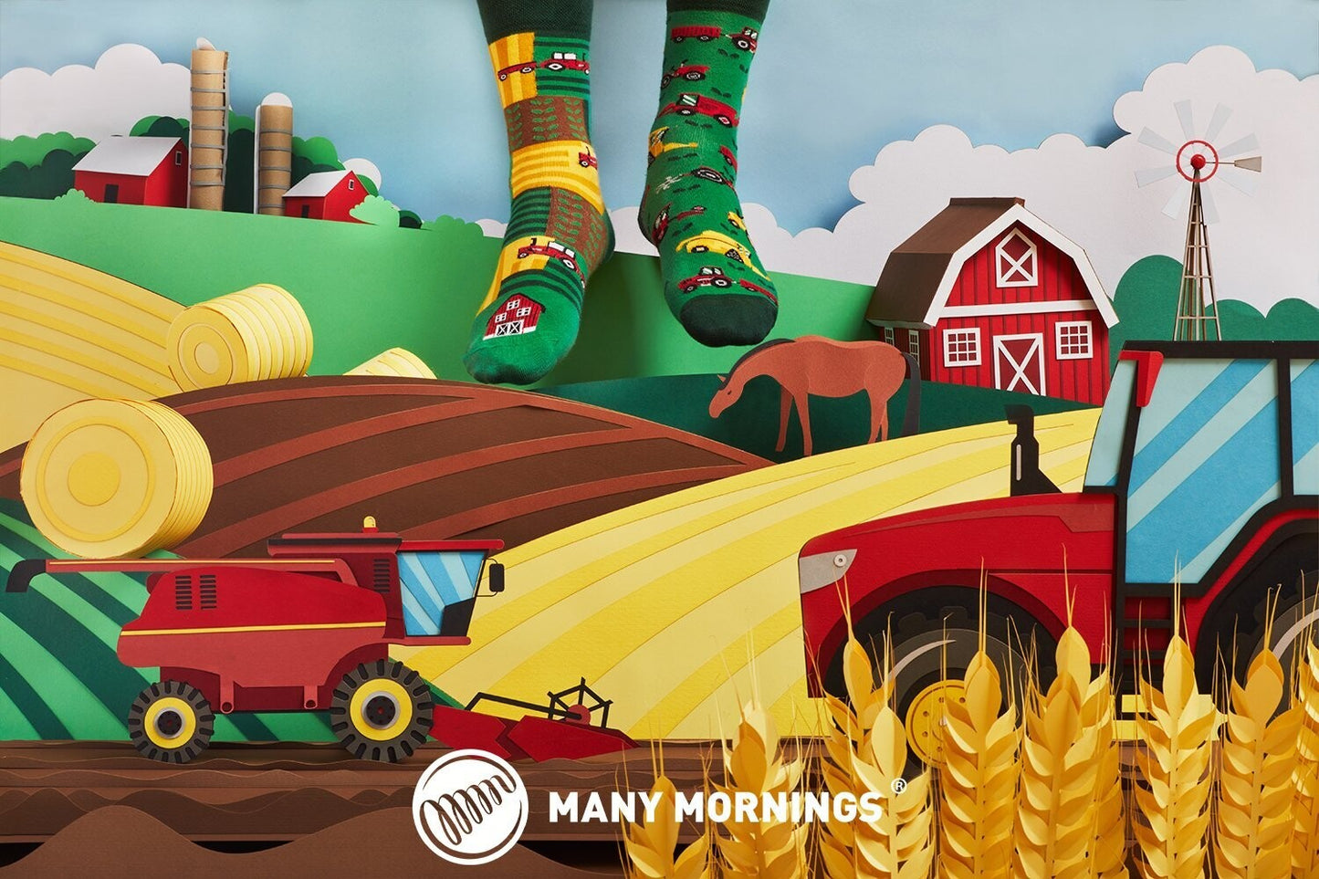 HAPPY HARVEST (regular)