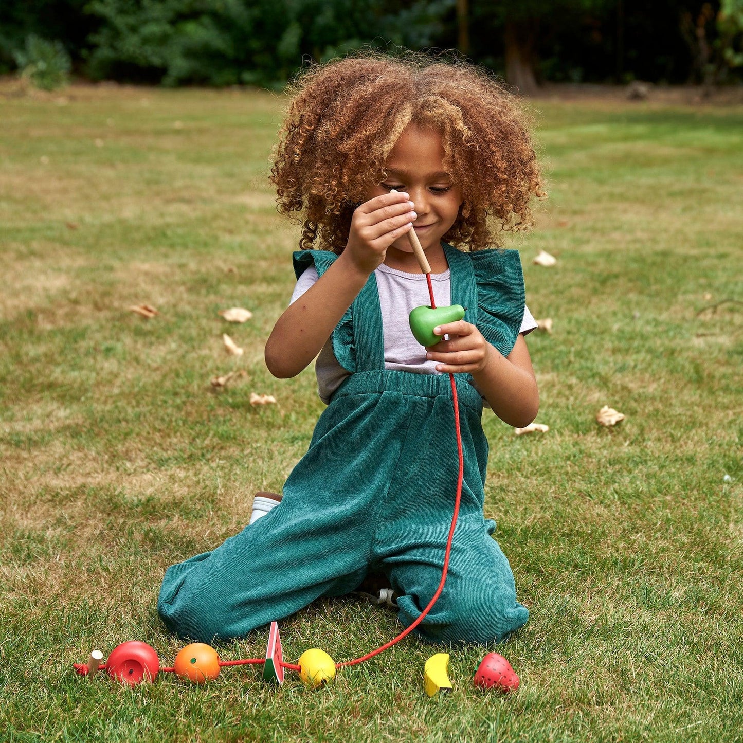 FRUTAS DE CORDONES DE MADERA