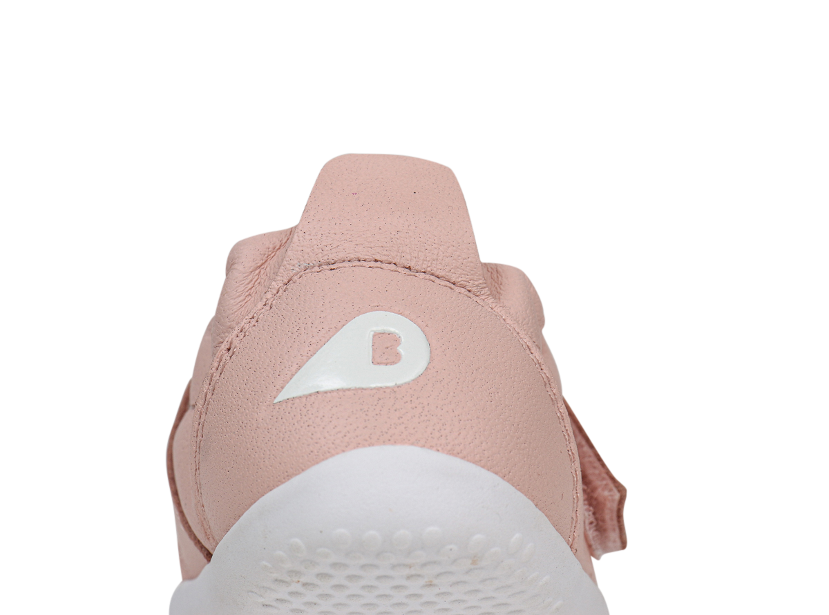 Xplorer Go Seashell