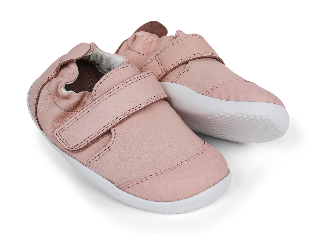 Xplorer Go Seashell