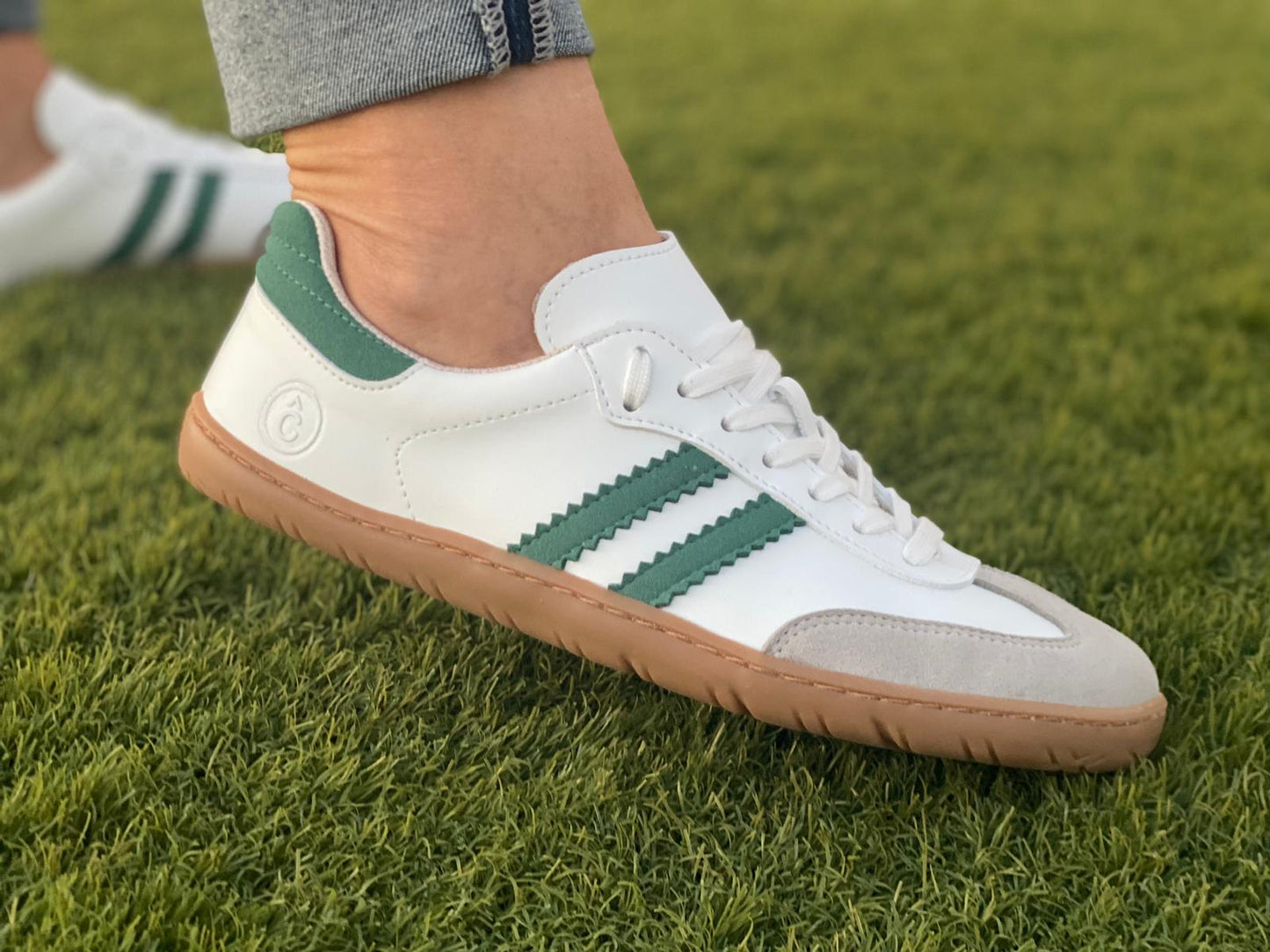 Coqueflex Samba Pino