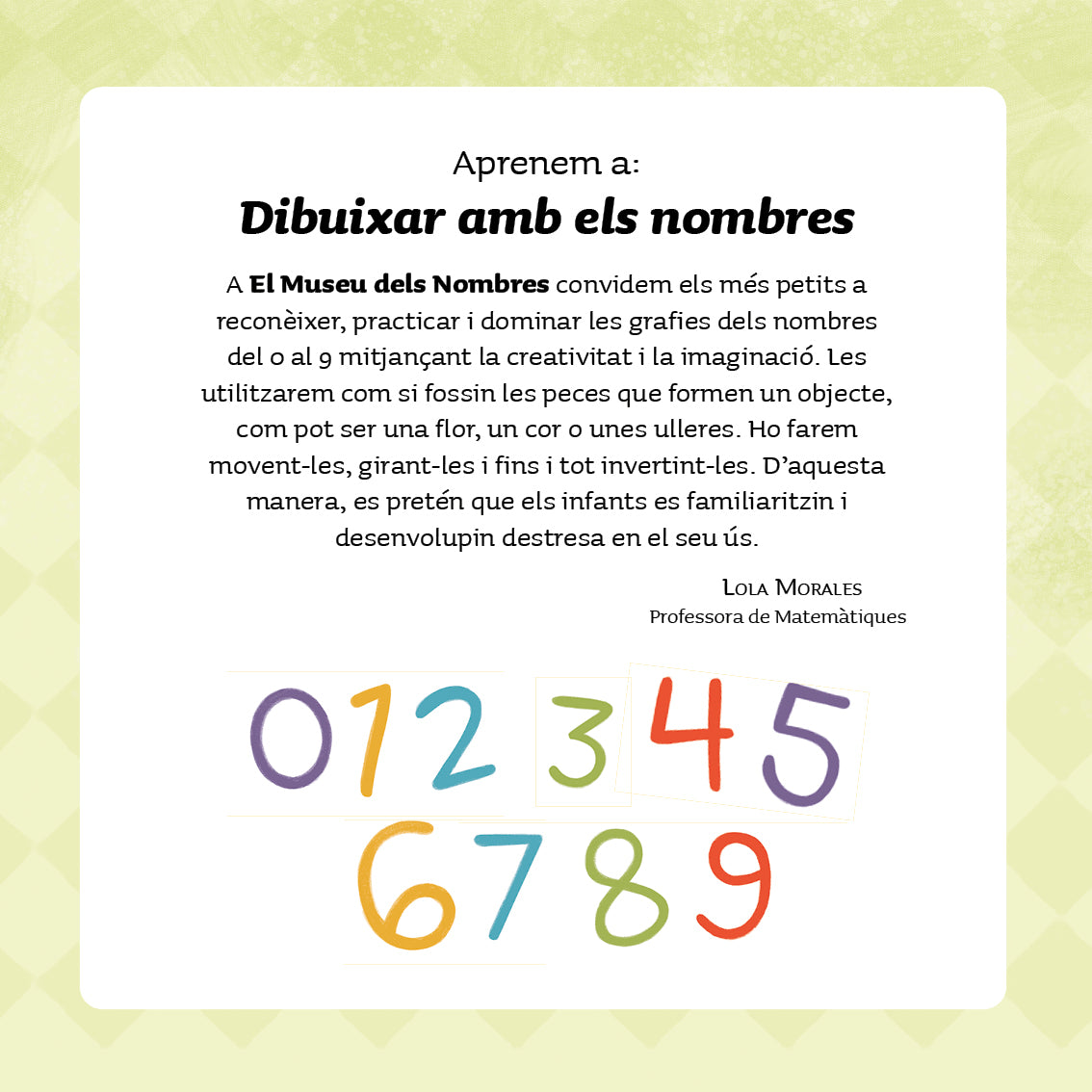 Museu dells nombres (3+)