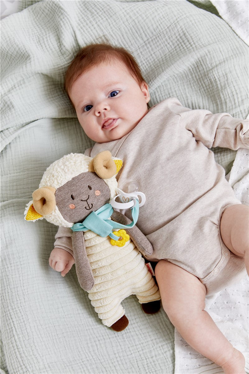 Animalito Chupetero - Carnero Carmelo