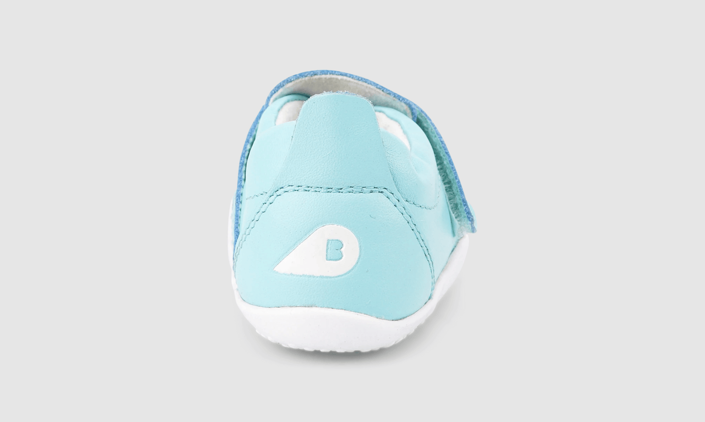 Xplorer Go Aqua