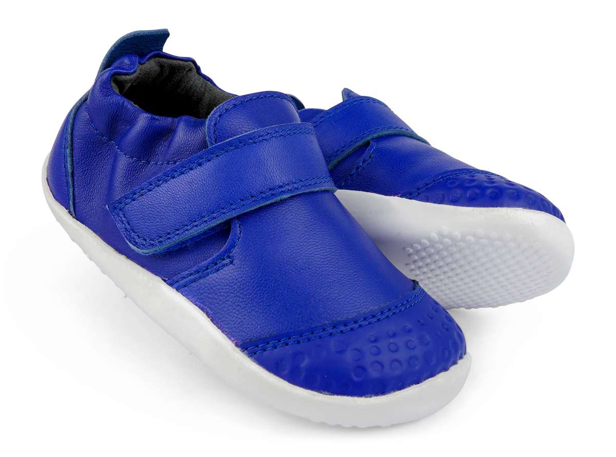 Xplorer Go Blueberry