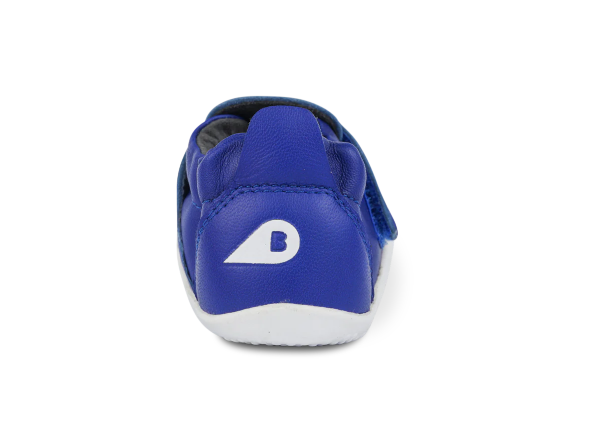 Xplorer Go Blueberry