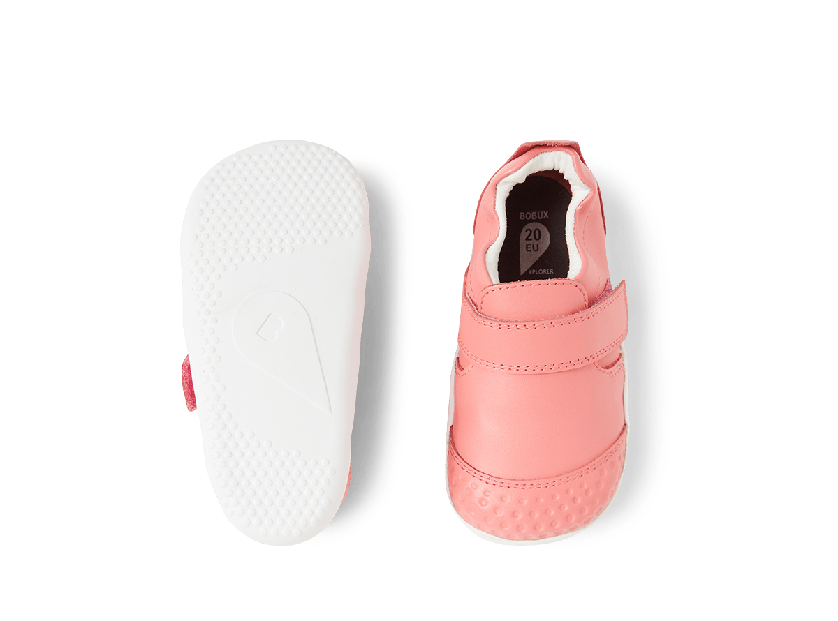 Xplorer Go Ocean Coral