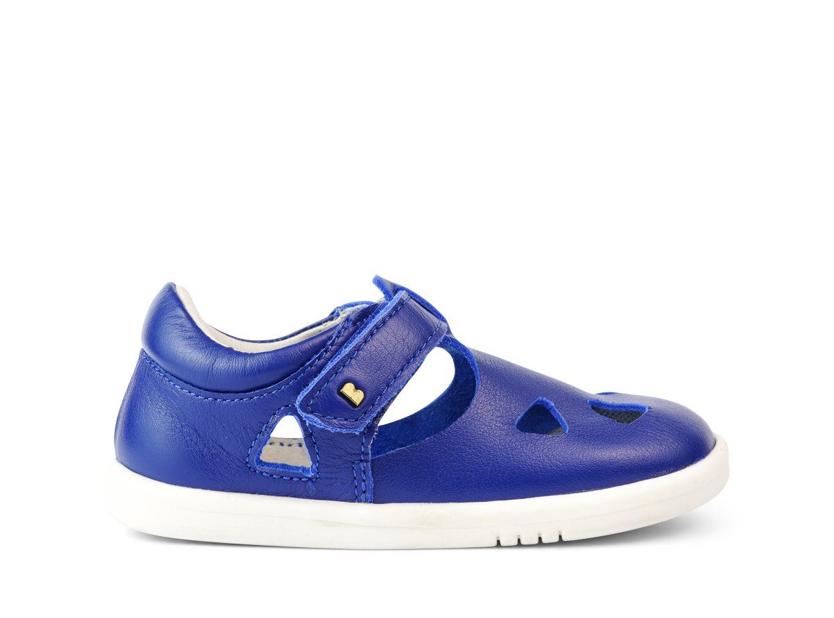 Zap II Bluberry