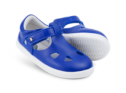 Zap II Bluberry