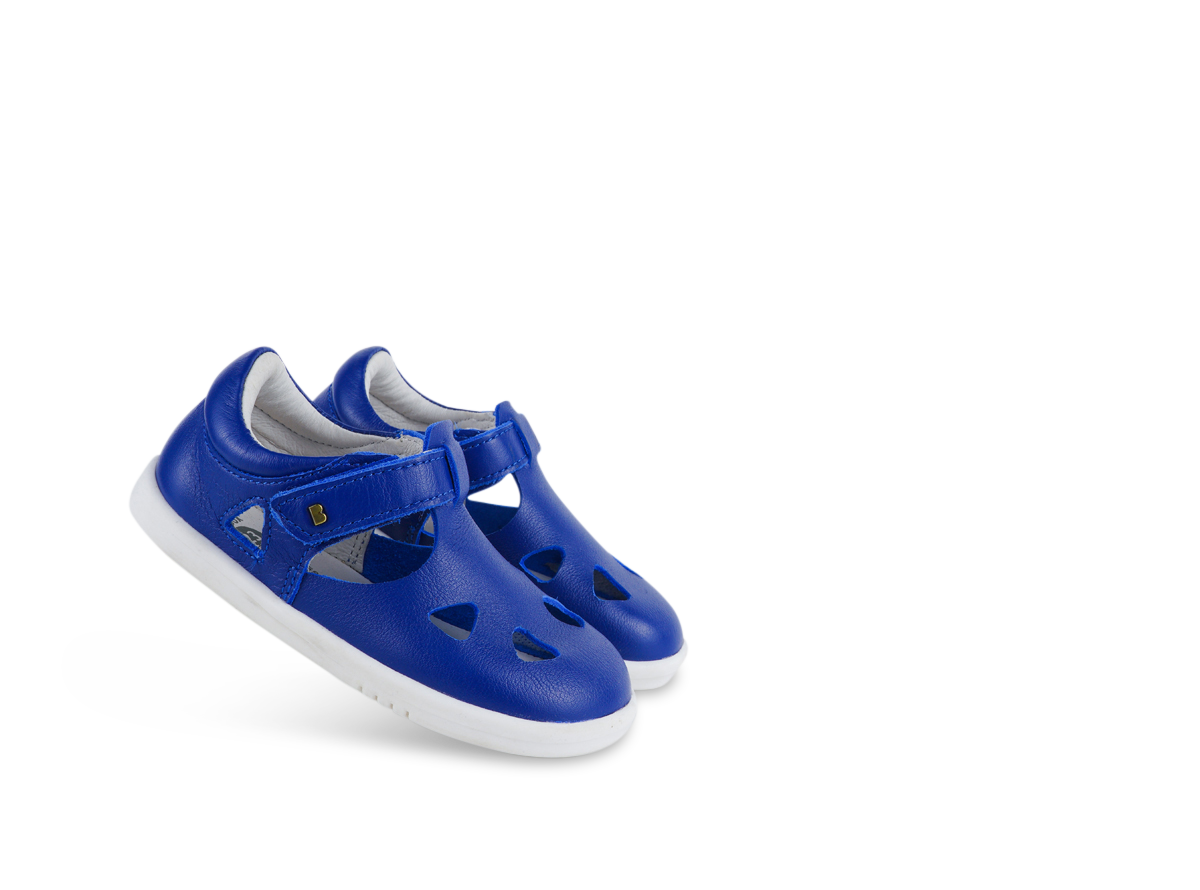 Zap II Bluberry