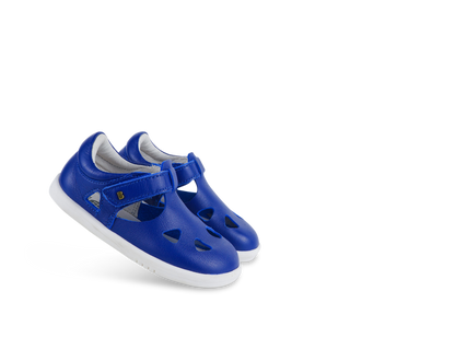 Zap II Bluberry