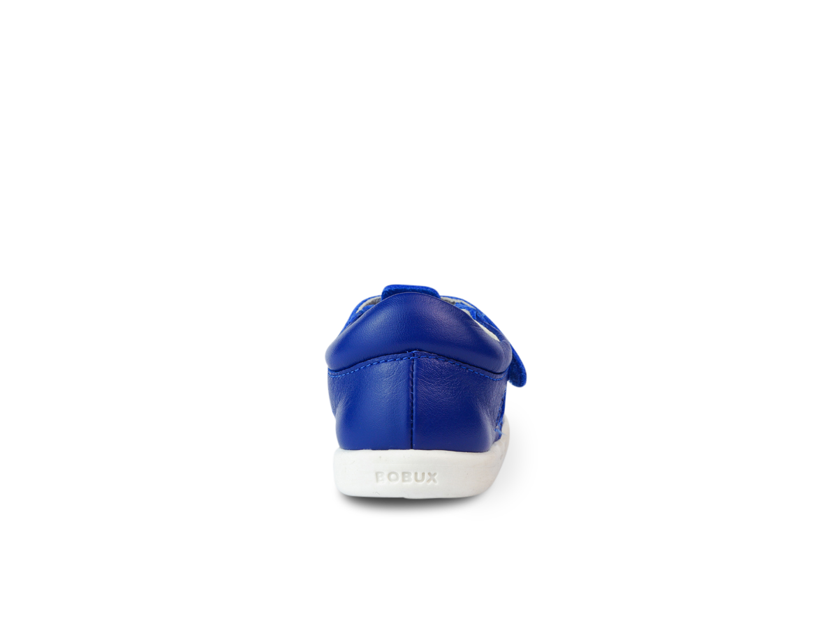 Zap II Bluberry