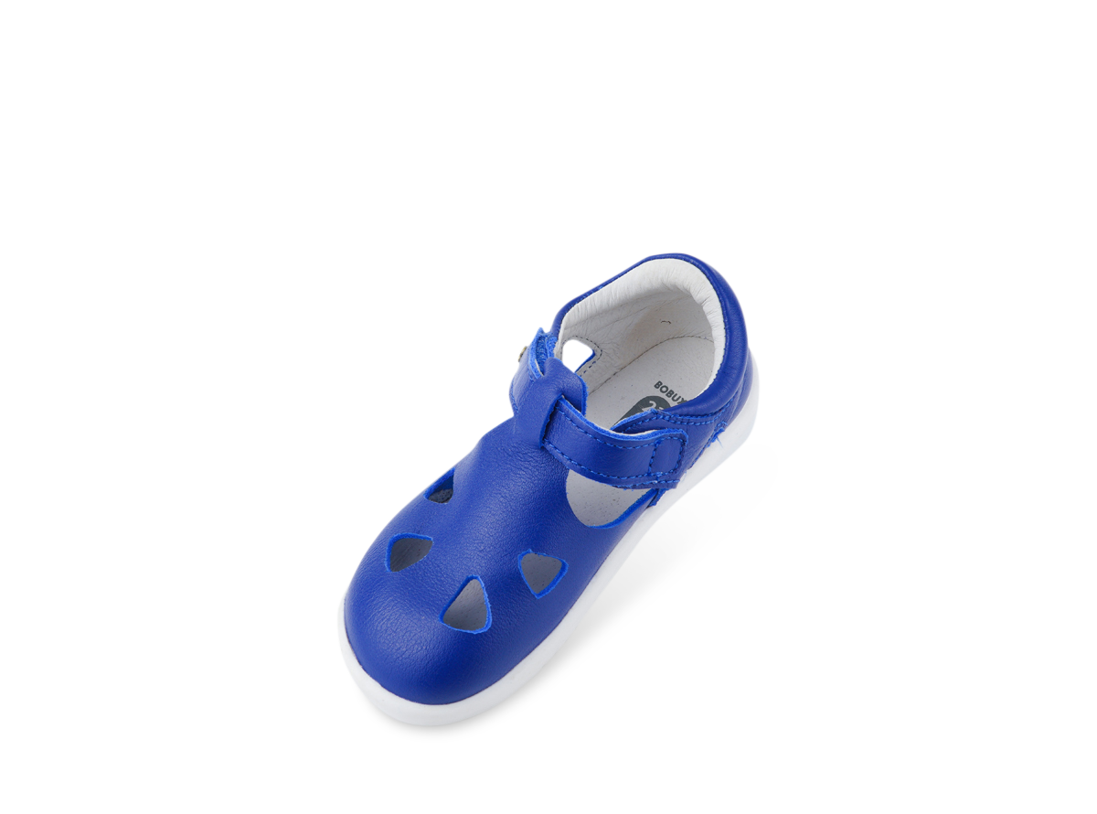 Zap II Bluberry