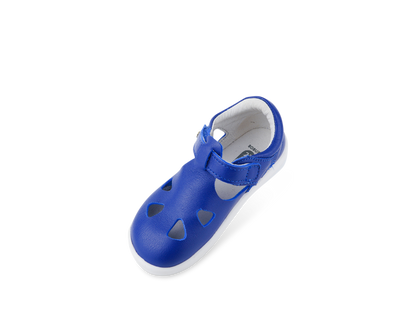 Zap II Bluberry