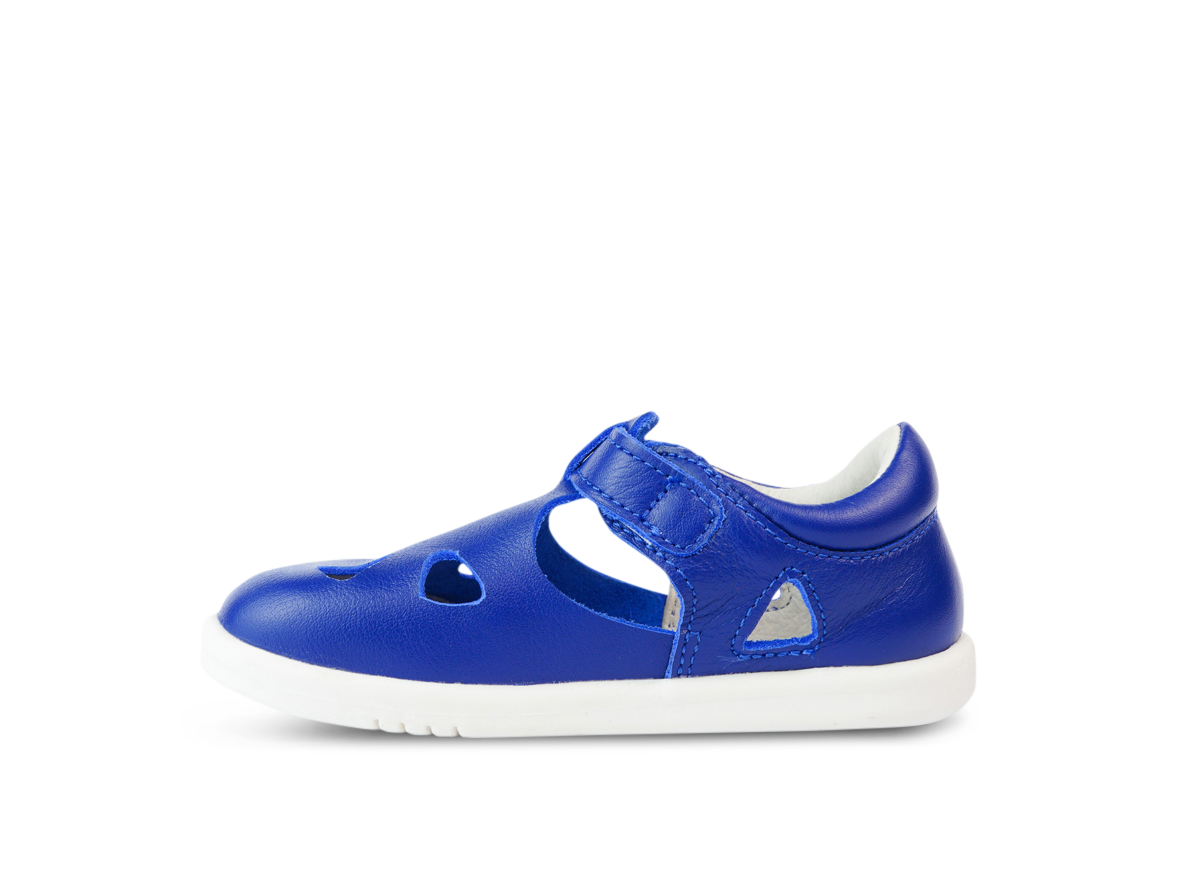 Zap II Bluberry