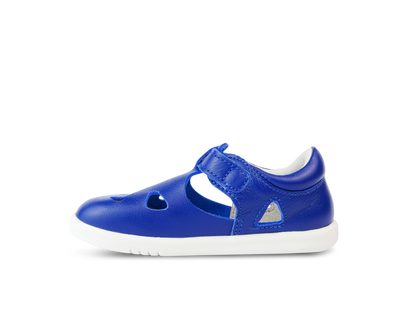 Zap II Bluberry