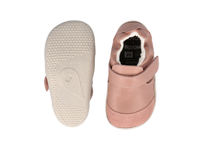Xplorer Marvel Rose-Rose
