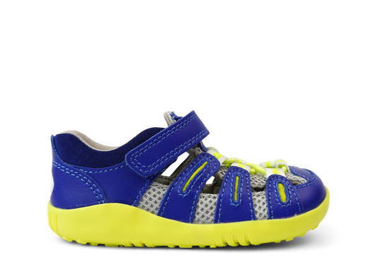 Summit Blueberry Neon