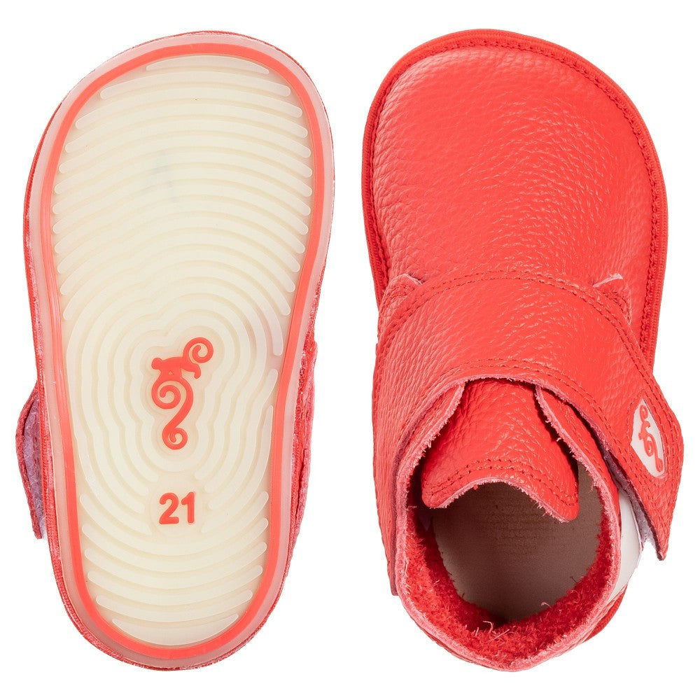 Baloo Red 2.0