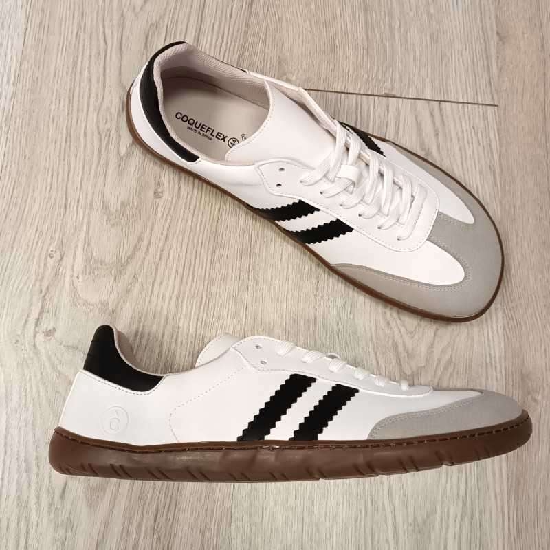 Coqueflex  Samba Topo