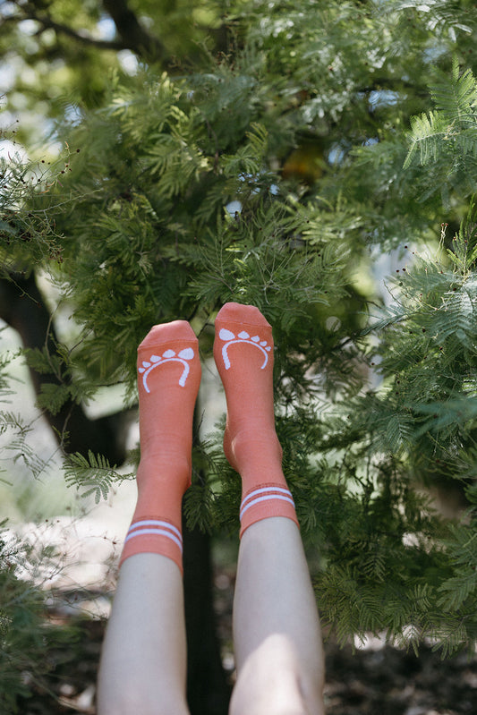 Calcetines NIMS FLAMINGO 🦩