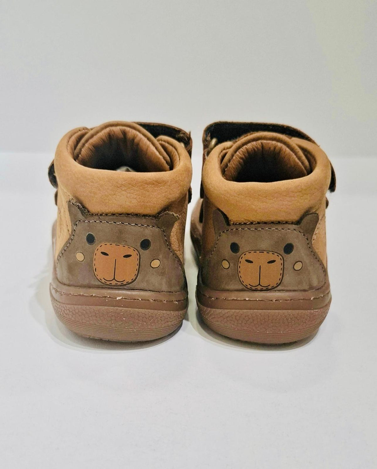 Botin Nabux canyon camel