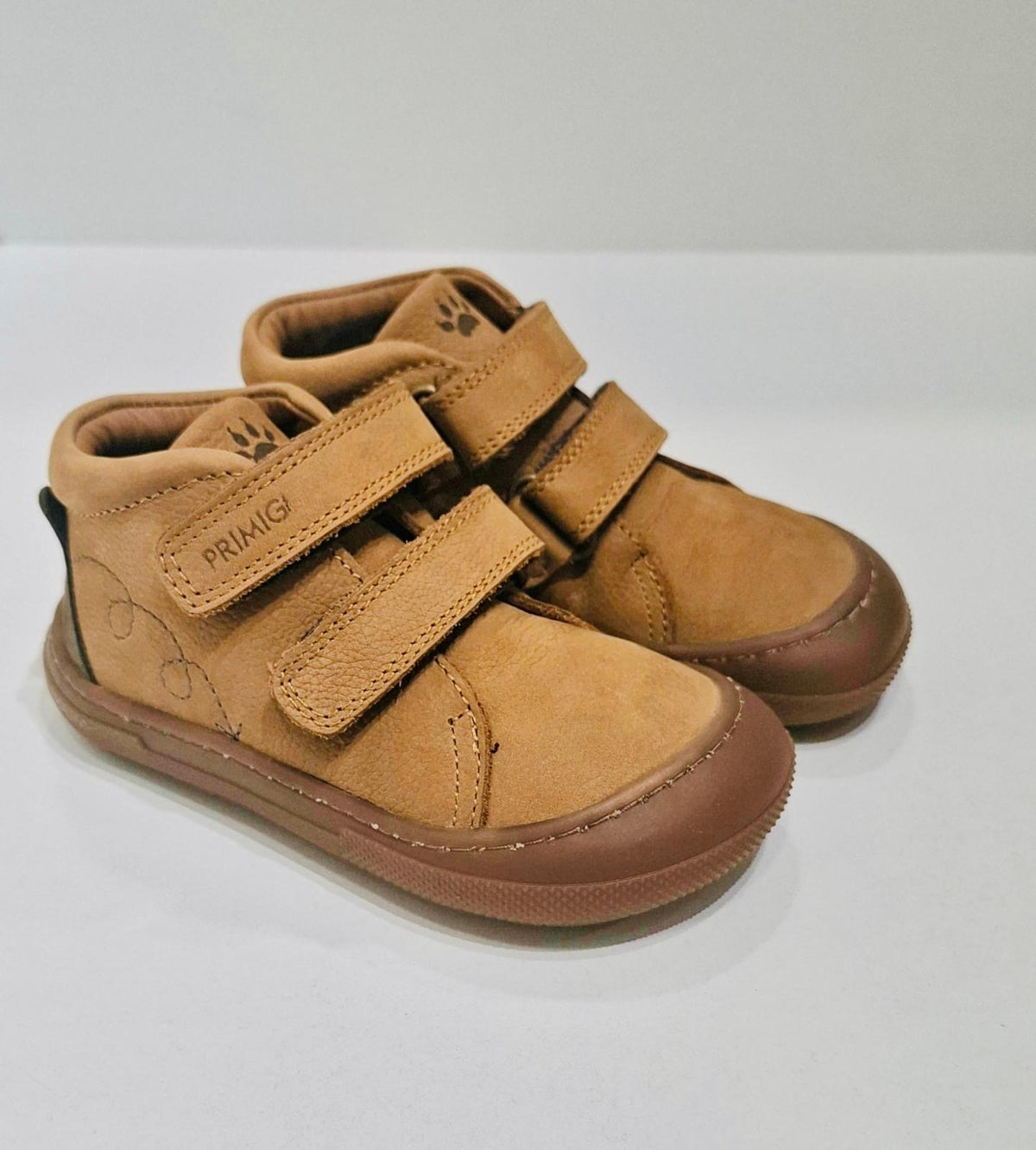 Botin Nabux canyon camel